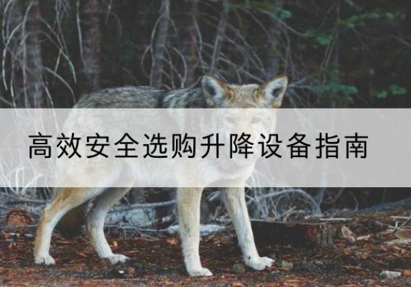伍家岗升降货梯厂家推荐-*安全选购升降设备指南