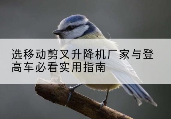 伍家岗电动升降机厂家-选移动剪叉升降机厂家与登高车必看实用指南