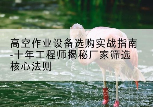 伍家岗剪叉式升降机厂家-高空作业设备选购实战指南-十年工程师揭秘厂家筛选核心法则